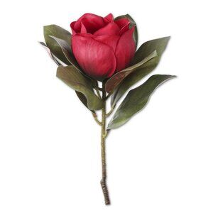 Dark Red Magnolia Stem